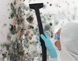 Best Asbestos and Lead Testing During Mold Inspection  in Horizon West, FL